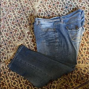 Royalty by YMI Women Plus Size Basic Denim Skinny Jean - MEDIUM WASH